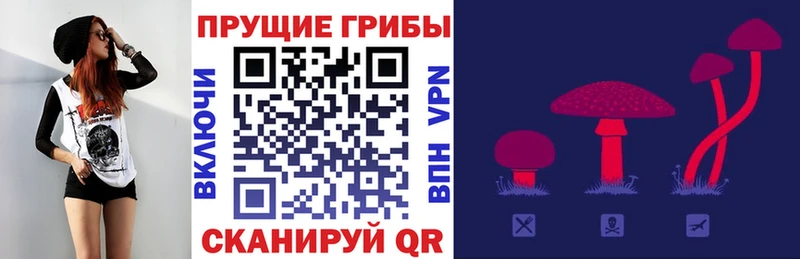 Псилоцибиновые грибы прущие грибы  Боготол 